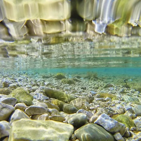 Gorgeous In Bibinje