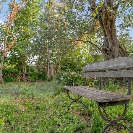 Awesome In With Kitchen *